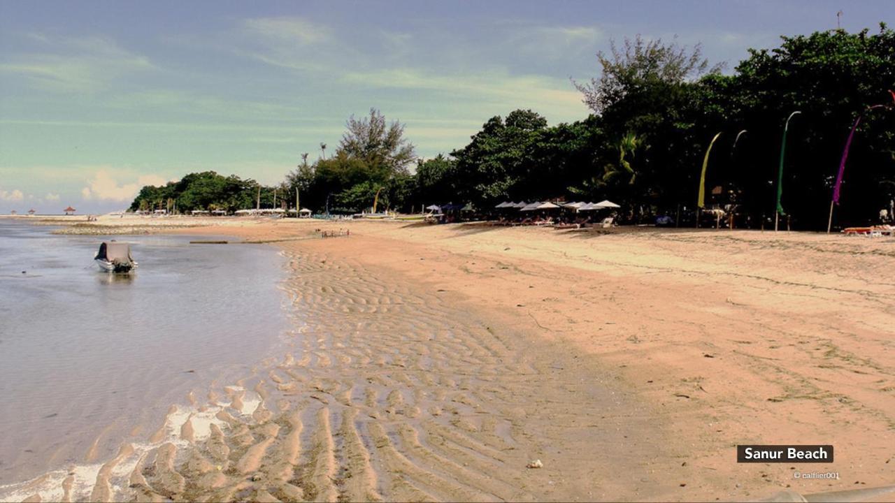 Zen Villa Sanur Art Kültér fotó